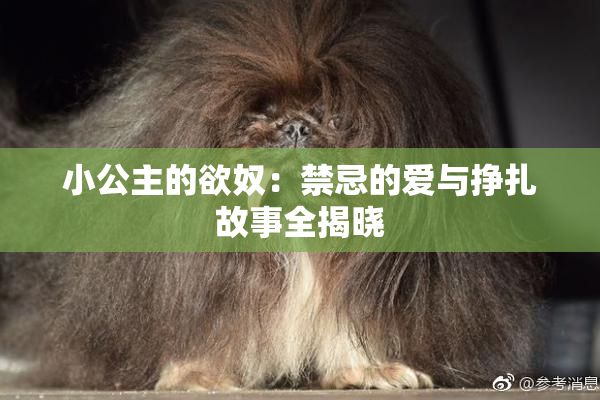 小公主的欲奴：禁忌的爱与挣扎故事全揭晓