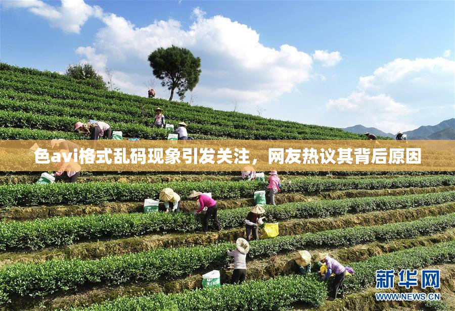 色avi格式乱码现象引发关注，网友热议其背后原因
