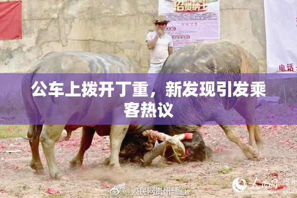 公车上拨开丁重，新发现引发乘客热议