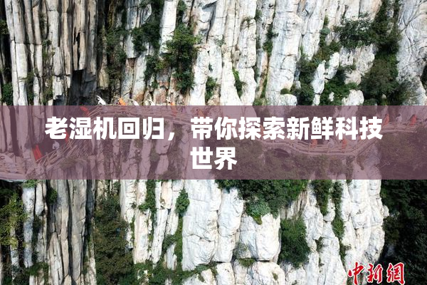 老湿机回归，带你探索新鲜科技世界