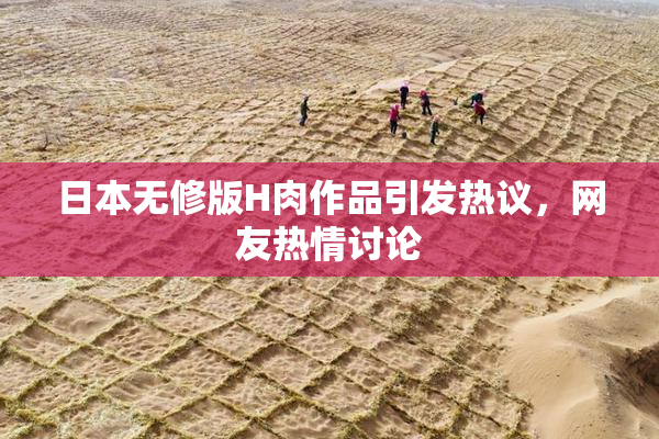 日本无修版H肉作品引发热议，网友热情讨论