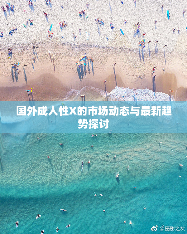 国外成人性X的市场动态与最新趋势探讨