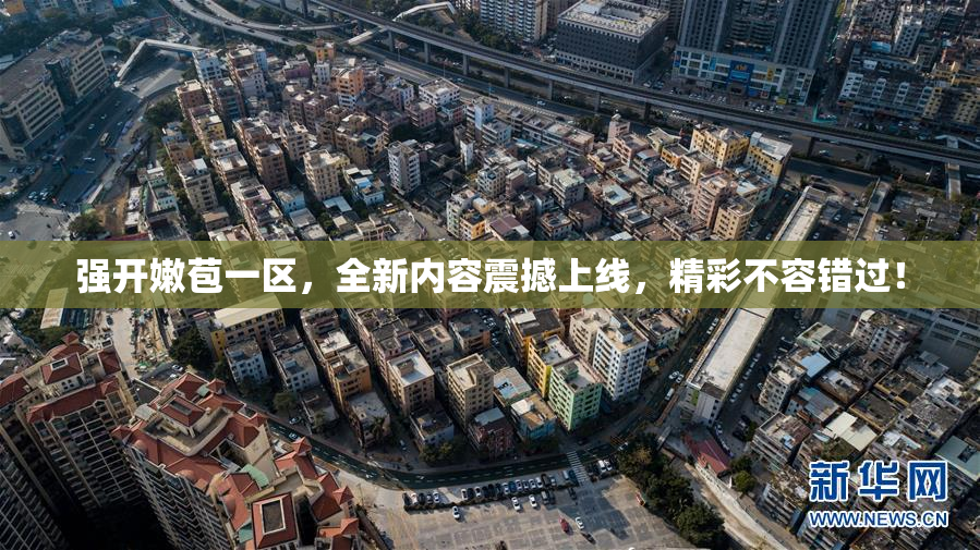 强开嫩苞一区，全新内容震撼上线，精彩不容错过！