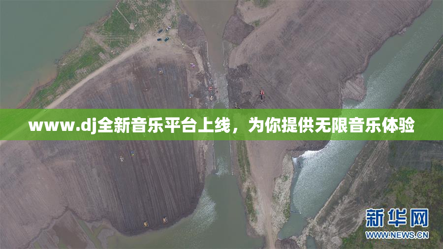 www.dj全新音乐平台上线，为你提供无限音乐体验