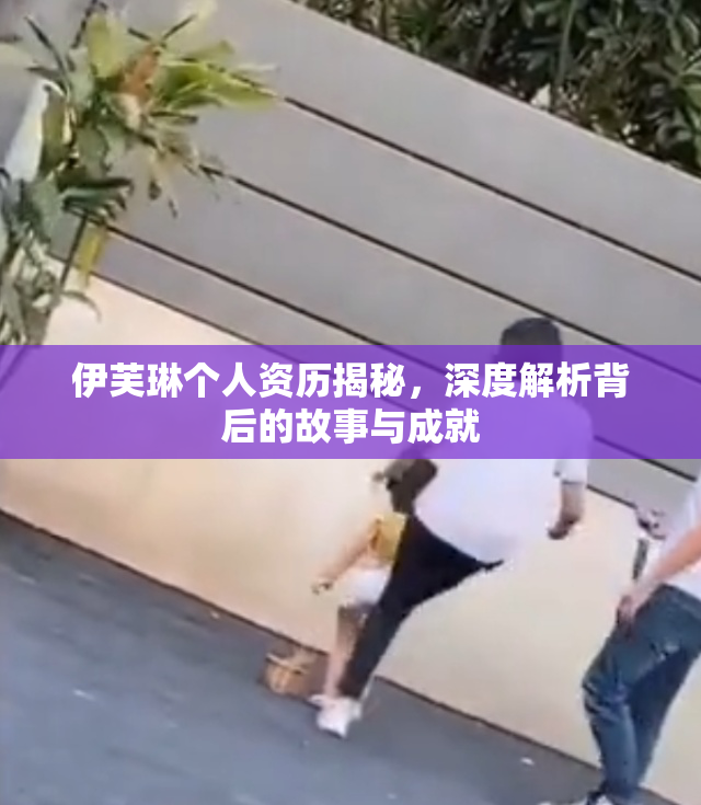 伊芙琳个人资历揭秘，深度解析背后的故事与成就