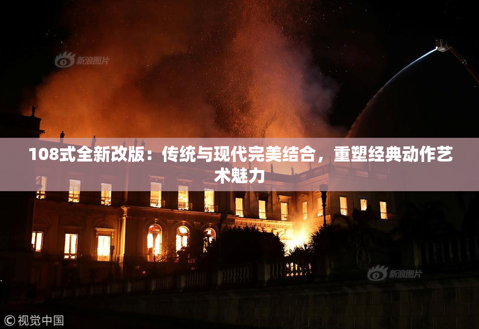 108式全新改版：传统与现代完美结合，重塑经典动作艺术魅力