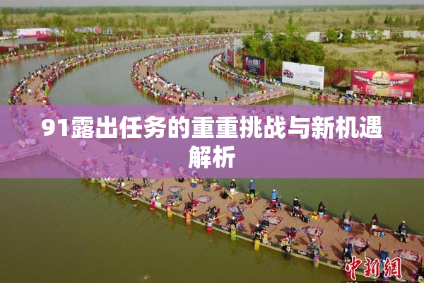 91露出任务的重重挑战与新机遇解析