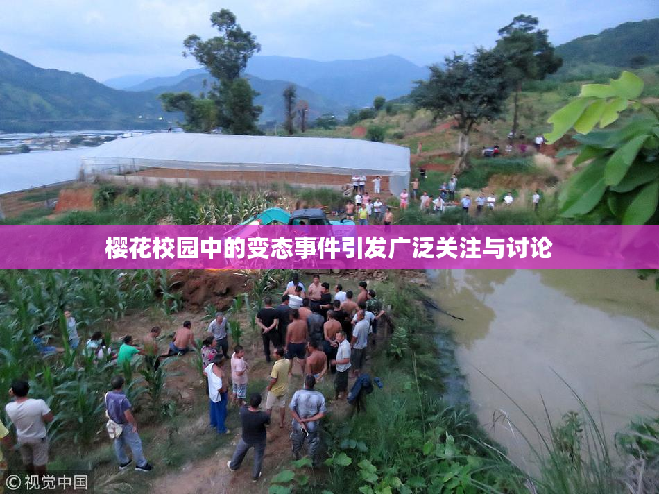樱花校园中的变态事件引发广泛关注与讨论