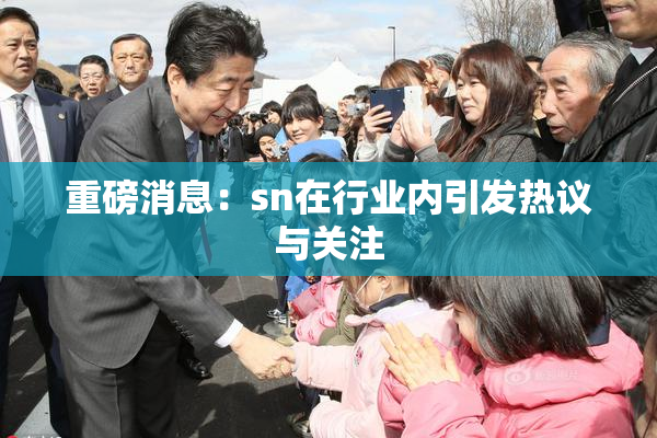 重磅消息：sn在行业内引发热议与关注