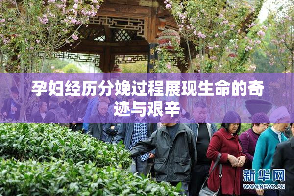 孕妇经历分娩过程展现生命的奇迹与艰辛