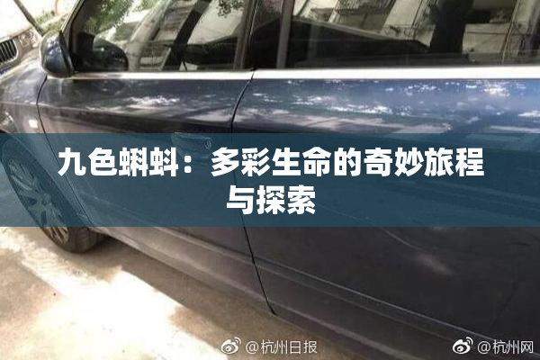 九色蝌蚪：多彩生命的奇妙旅程与探索