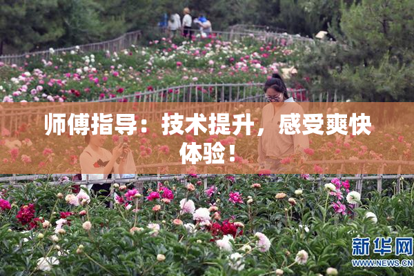 师傅指导：技术提升，感受爽快体验！