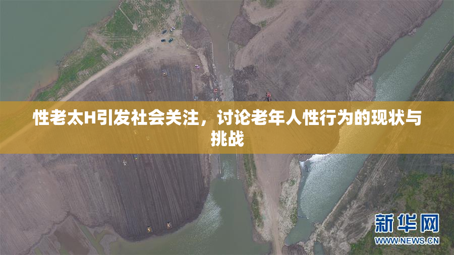 性老太H引发社会关注，讨论老年人性行为的现状与挑战
