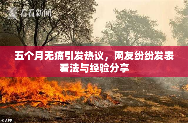 五个月无痛引发热议，网友纷纷发表看法与经验分享
