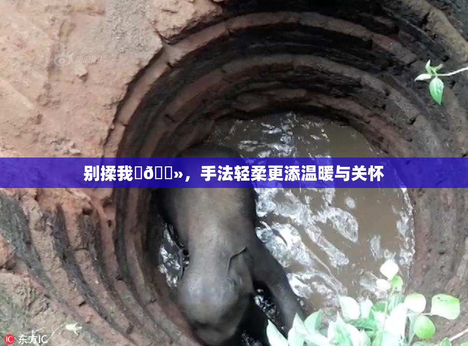别揉我‌🐻，手法轻柔更添温暖与关怀