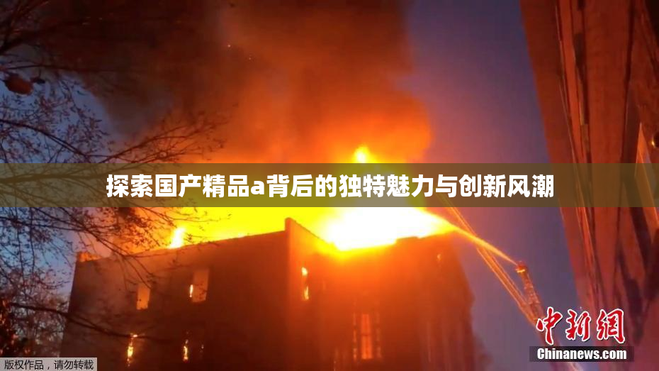 探索国产精品a背后的独特魅力与创新风潮