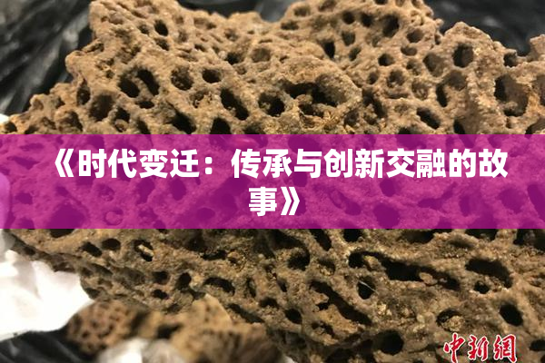 《时代变迁：传承与创新交融的故事》