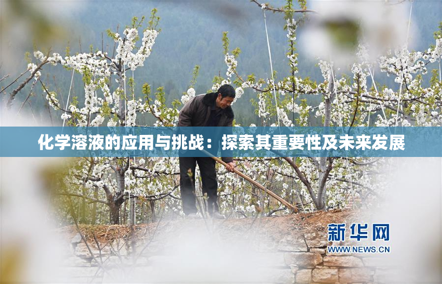 化学溶液的应用与挑战：探索其重要性及未来发展