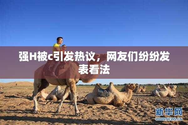 强H被c引发热议，网友们纷纷发表看法