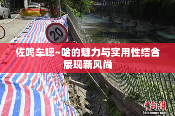 佐鸣车嗯~哈的魅力与实用性结合展现新风尚