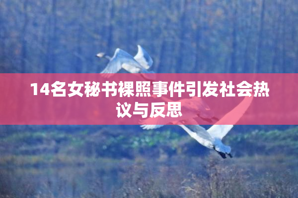 14名女秘书裸照事件引发社会热议与反思