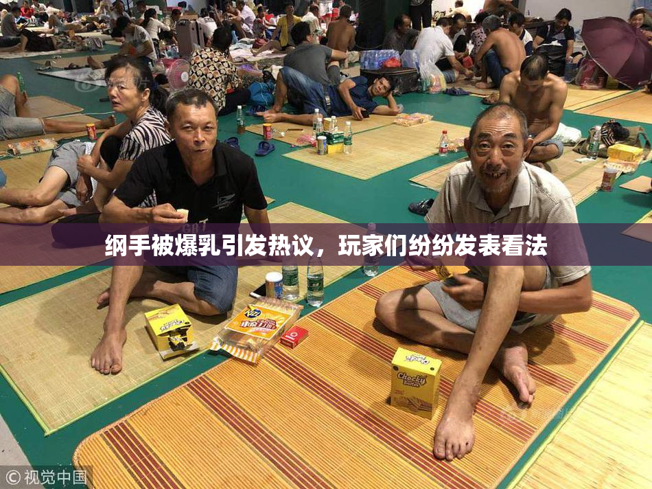 纲手被爆乳引发热议，玩家们纷纷发表看法