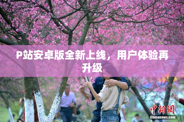 P站安卓版全新上线，用户体验再升级