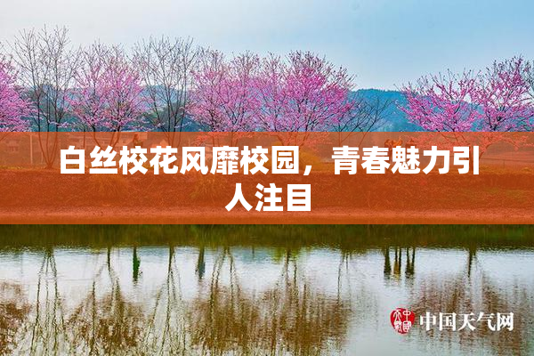 白丝校花风靡校园，青春魅力引人注目