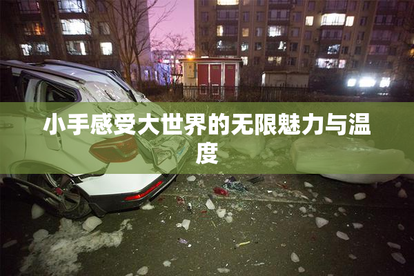 小手感受大世界的无限魅力与温度
