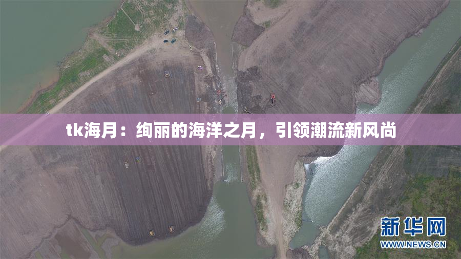 tk海月：绚丽的海洋之月，引领潮流新风尚