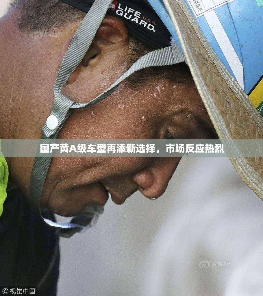 国产黄A级车型再添新选择，市场反应热烈
