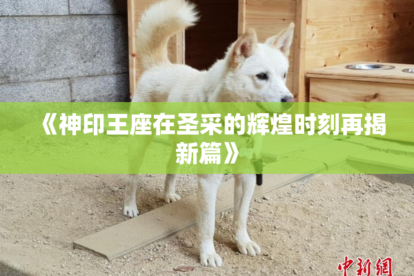 《神印王座在圣采的辉煌时刻再揭新篇》