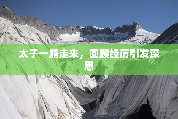 太子一路走来，回顾经历引发深思