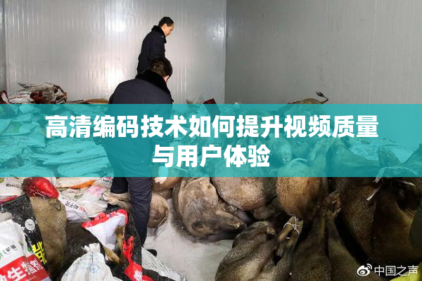 高清编码技术如何提升视频质量与用户体验