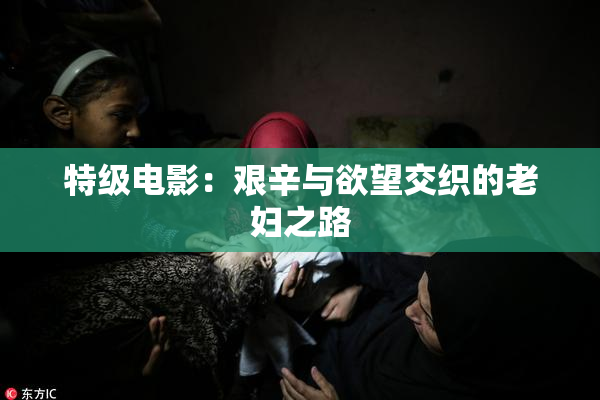 特级电影：艰辛与欲望交织的老妇之路
