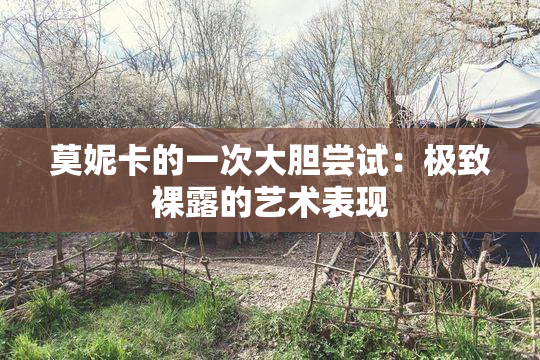 莫妮卡的一次大胆尝试：极致裸露的艺术表现