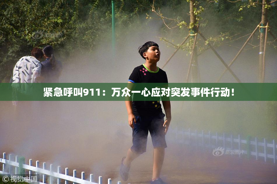 紧急呼叫911：万众一心应对突发事件行动！