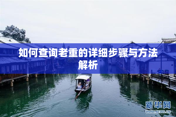 如何查询老重的详细步骤与方法解析