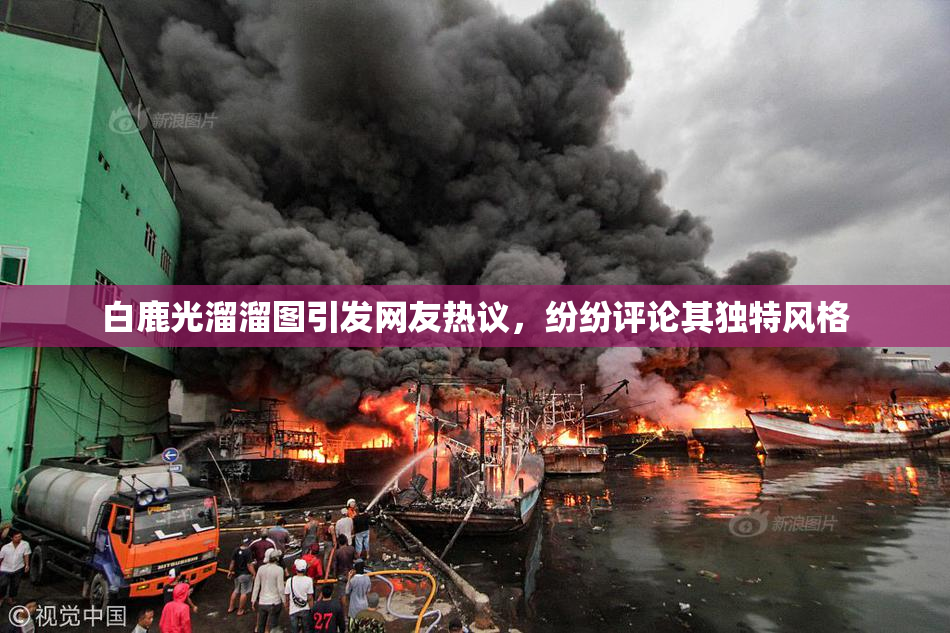 白鹿光溜溜图引发网友热议，纷纷评论其独特风格