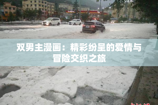双男主漫画：精彩纷呈的爱情与冒险交织之旅