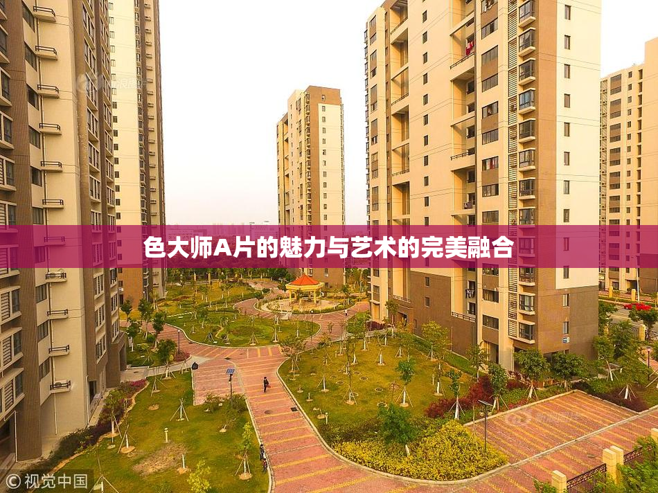 色大师A片的魅力与艺术的完美融合