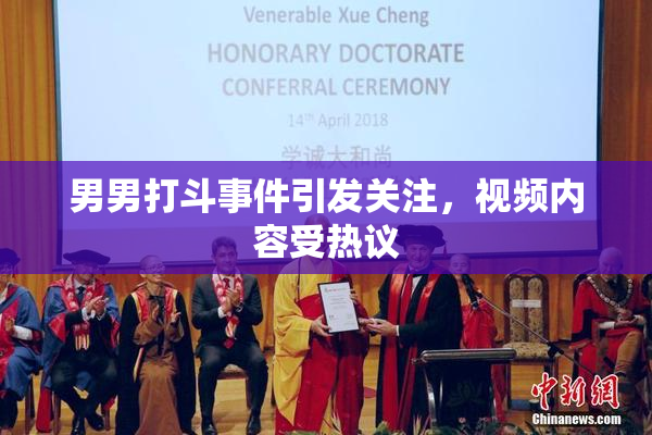 男男打斗事件引发关注，视频内容受热议