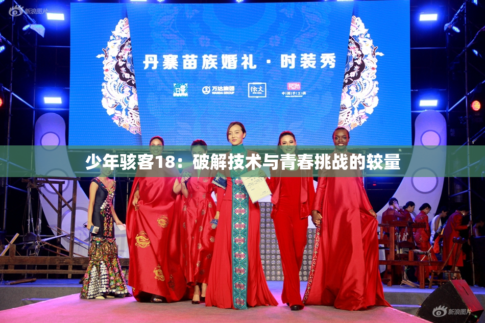 少年骇客18：破解技术与青春挑战的较量