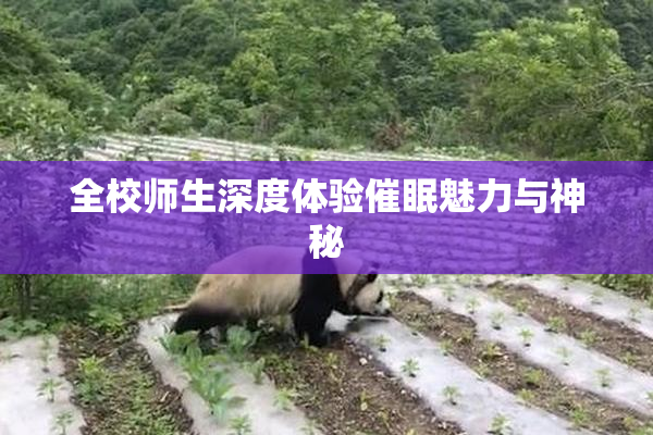 全校师生深度体验催眠魅力与神秘