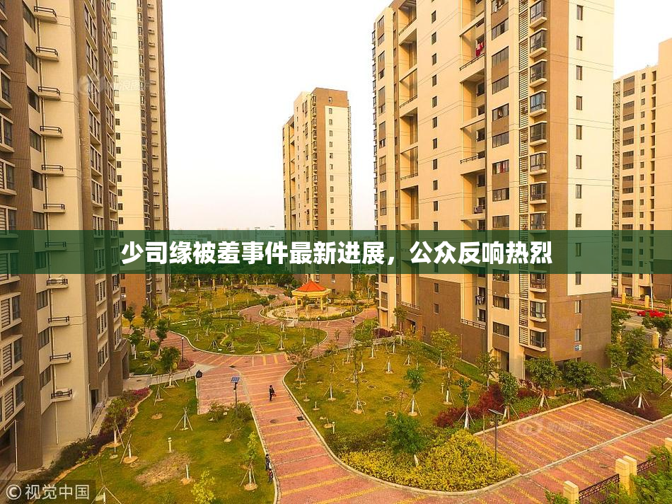 少司缘被羞事件最新进展，公众反响热烈