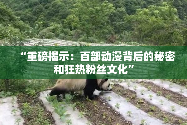 “重磅揭示：百部动漫背后的秘密和狂热粉丝文化”