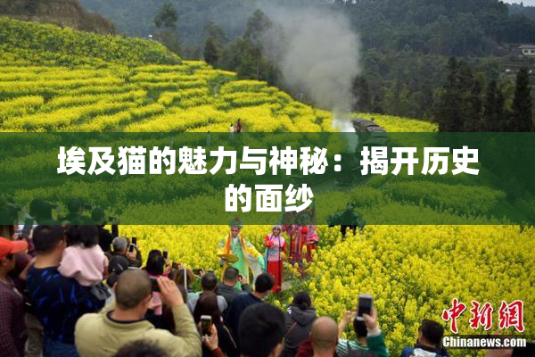 埃及猫的魅力与神秘：揭开历史的面纱