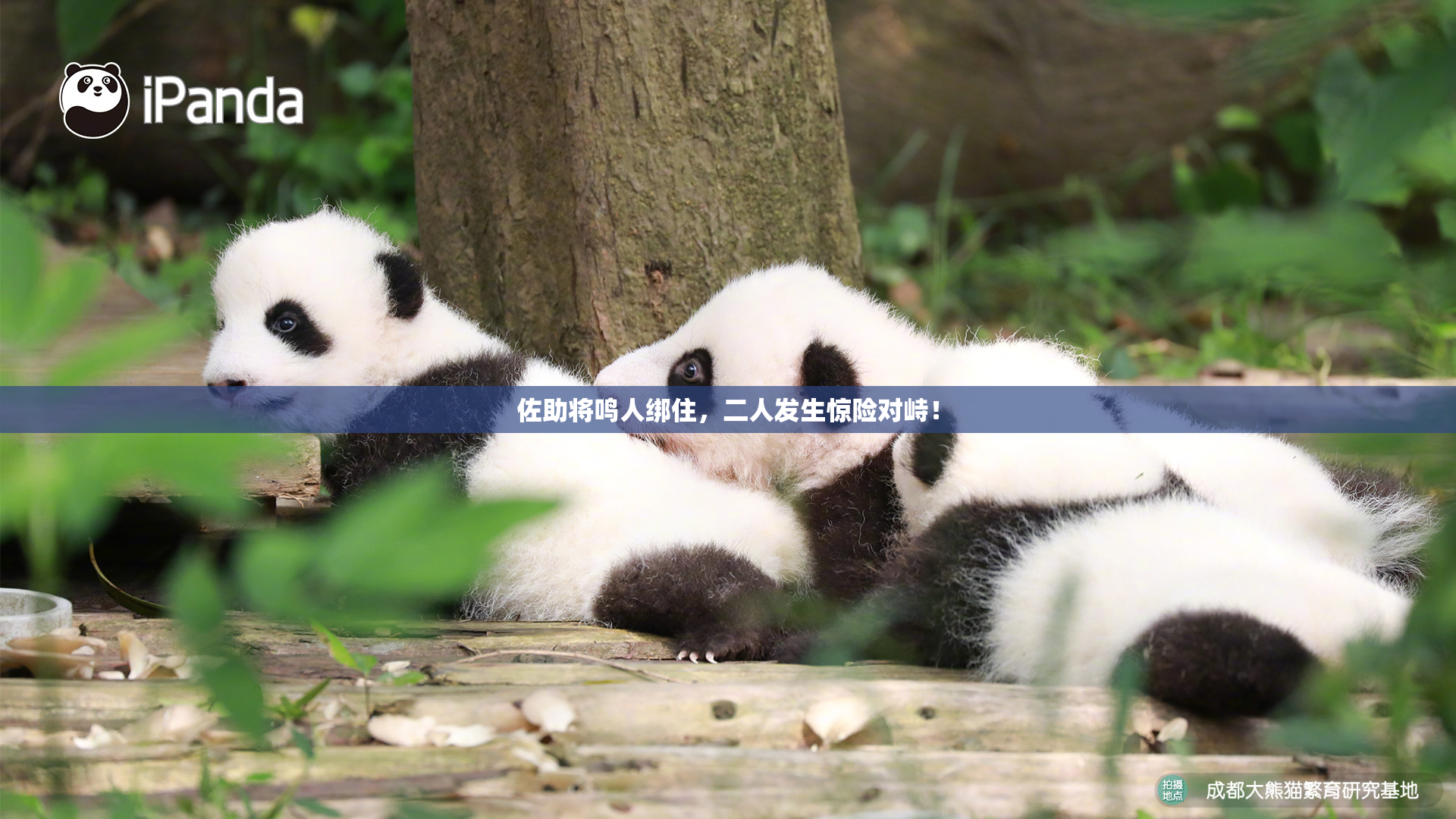 佐助将鸣人绑住，二人发生惊险对峙！
