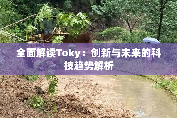 全面解读Toky：创新与未来的科技趋势解析