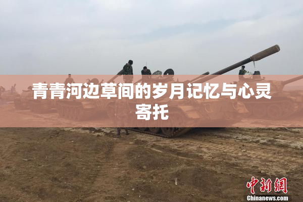 青青河边草间的岁月记忆与心灵寄托
